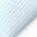 Еко кожа Outdoor Stripe