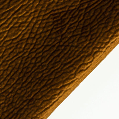 Булдог проба