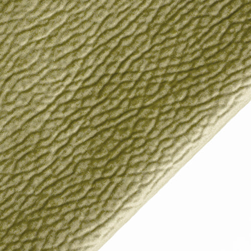 Булдог проба