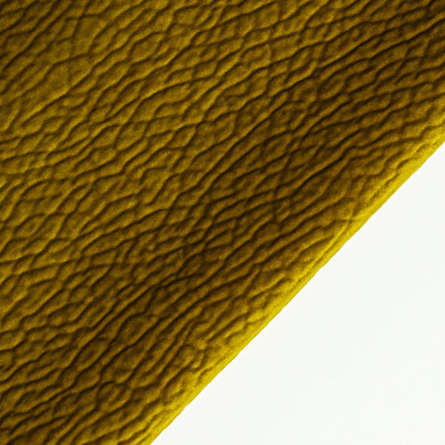 Булдог проба