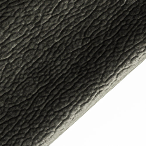 Булдог проба