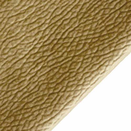 Булдог проба