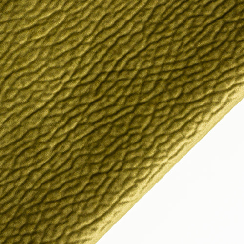 Булдог проба