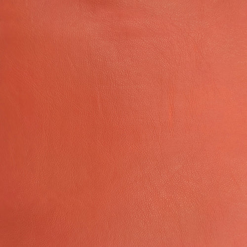 Екологична кожа от козя кожа NW