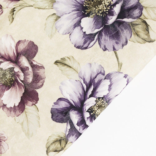 пример на Алис