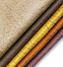 проба Танго F