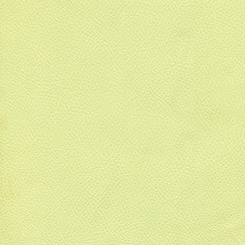 Екологична кожа Mercedes