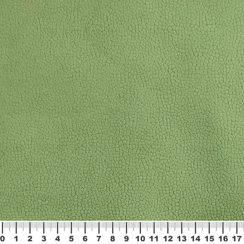 Сиера проба