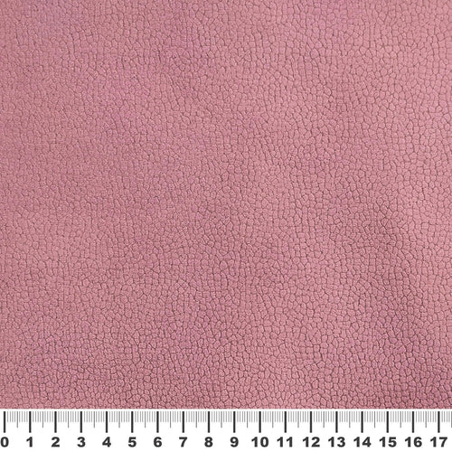 Сиера проба