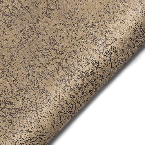 проба Танго F