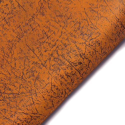 проба Танго F